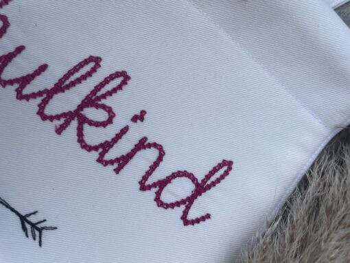 Wimpelset  < Schulkind & Name > – Bild 14