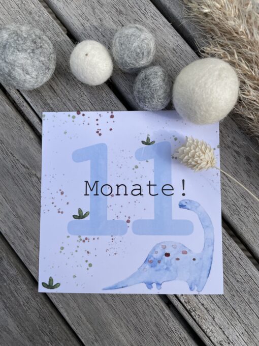 Geschenkset < Dino > bestehend aus Meilensteinkarten und Kuscheltuch – Bild 6
