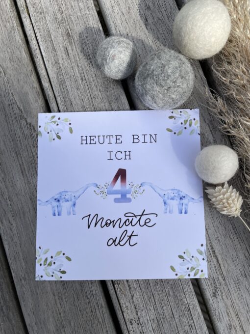 Geschenkset < Dino > bestehend aus Meilensteinkarten und Kuscheltuch – Bild 8