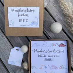 Geschenkset < Dino > bestehend aus Meilensteinkarten und Kuscheltuch