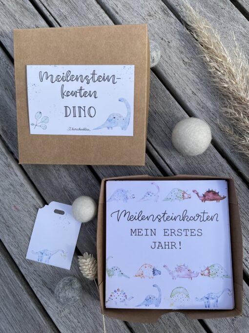 Geschenkset < Dino > bestehend aus Meilensteinkarten und Kuscheltuch